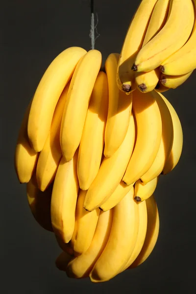 Gelbe Höhlenbananen — Stockfoto