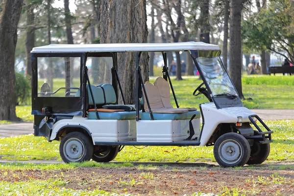 Carrinho de golfe em Park — Fotografia de Stock