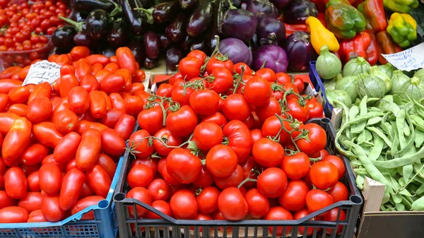 Sandıklar içinde domates — Stok fotoğraf