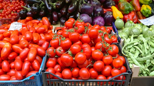 Tomate em caixas — Fotografia de Stock