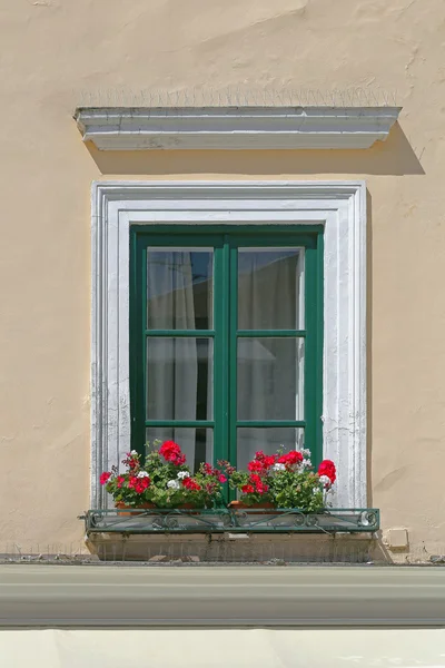 Venster met bloemen — Stockfoto