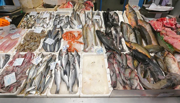 Fish Market Stall — Stock Photo, Image