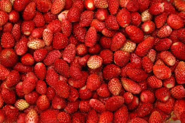 Fondo de fresas silvestres —  Fotos de Stock