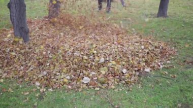 Yaprak üfleyici Park