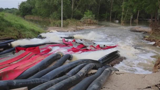 Mangueira de bombeamento de água — Vídeo de Stock