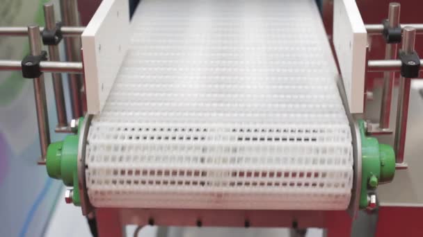 Plastic Conveyor Belt — Stock Video