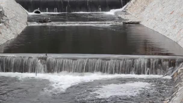 Cascata del flusso d'acqua — Video Stock