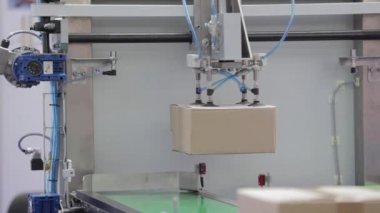 Kutusu konveyör Robot
