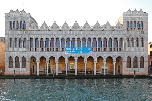 Museo di Storia Naturale Venezia — Foto Stock