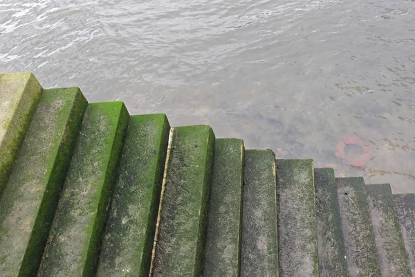 Escaliers à l'eau — Photo