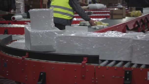 Transportband pakketten van het sorteren van de riem — Stockvideo