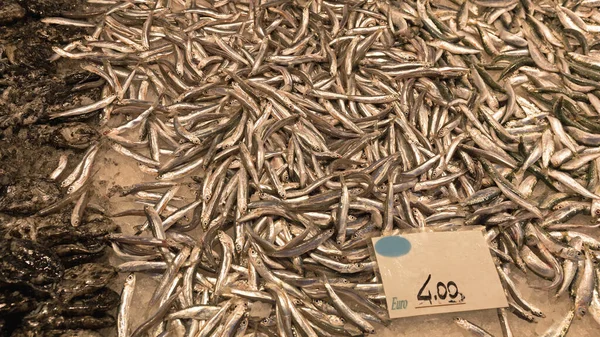 Big Bunch Anchovy Fish Market — Stock Photo, Image