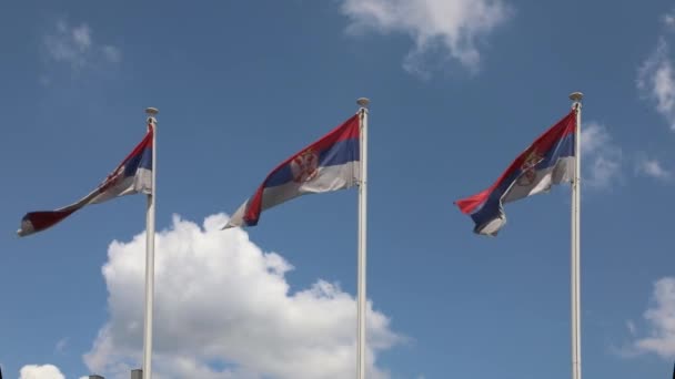 Drei Nationalflaggen Republik Serbien Bei Wind — Stockvideo