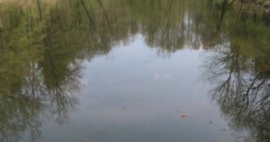 Sırbistan 'da Küçük Göl Doğa Vaha' sı