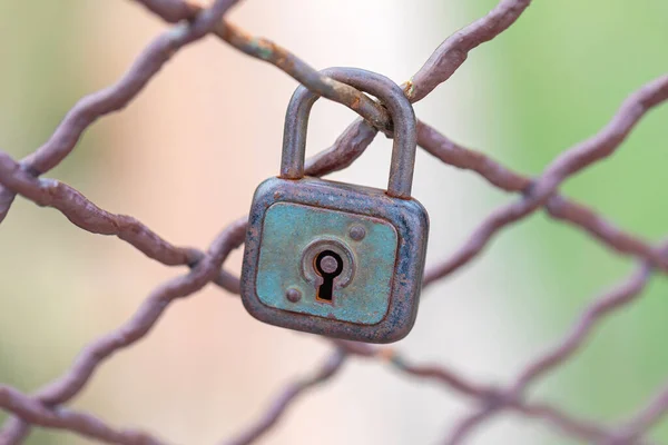 Rusty Láska Symbol Visací Zámek Uzamčen Plot — Stock fotografie