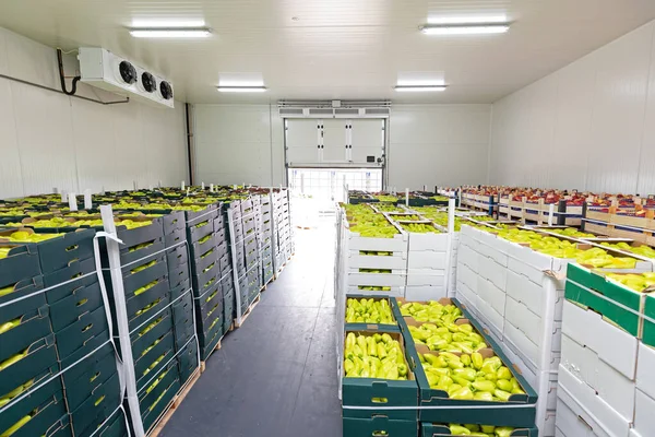 Almacén Almacenamiento Pimientos Manzanas Cajas —  Fotos de Stock