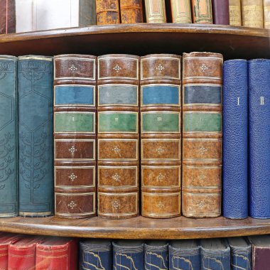 Kitap Rafında Antika Kitaplar Koleksiyonu