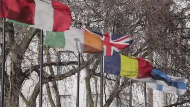 Londra 'da Polonyalılarda Dünya Bayrakları Rüzgarlı Gün