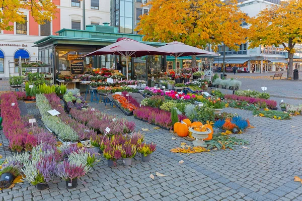 Drammen Norveç Ekim 2016 Çiçekçi Shoop Booth Drammen Norveç Teki — Stok fotoğraf