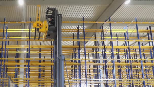 Carretilla Elevadora Apilable Alto Rack Nuevo Almacén Distribución — Vídeo de stock