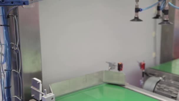 Ssanie Próżniowe Robotic Arm Picking Box Linii Produkcyjnej — Wideo stockowe