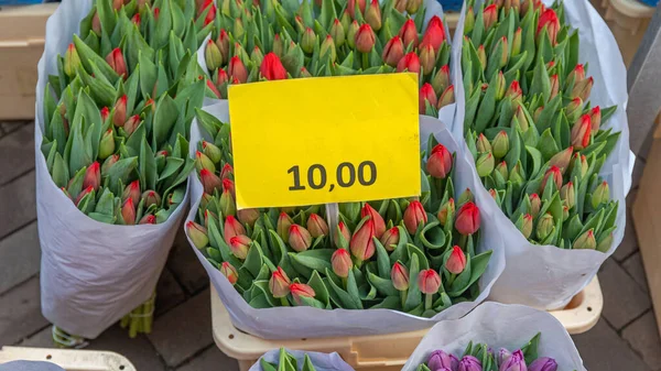 Virágcsokrok Friss Tulipán Hollandia — Stock Fotó