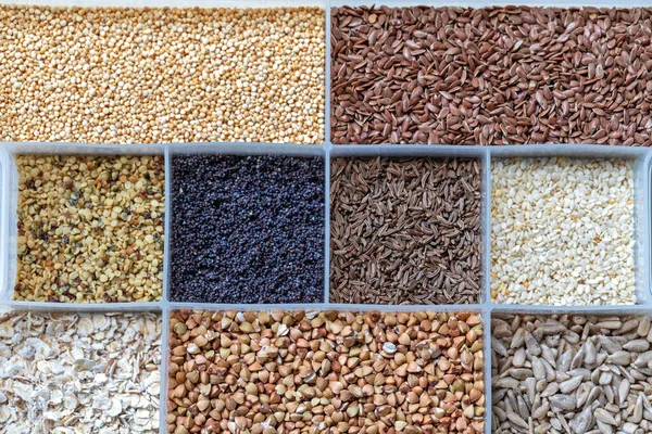 Seeds Grains Healthy Food Selection Variety — Stock Photo, Image