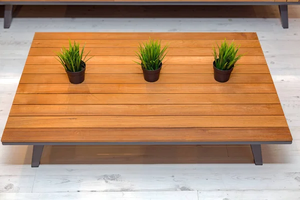Trois Plantes Table Basse Bois Dans Salon — Photo