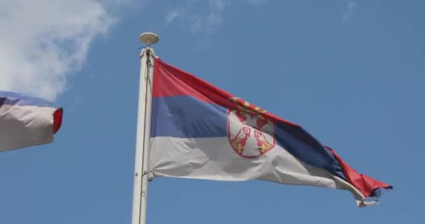 Εθνική Σημαία Της Σερβίας Στην Windy Day Blue Sky — Αρχείο Βίντεο