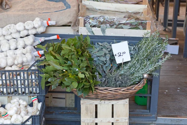 农民市场篮子里的鲜草和香料 — 图库照片