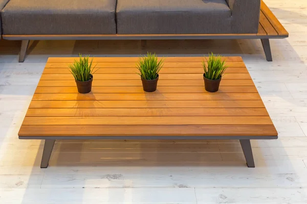 リビングルームの木製コーヒーテーブルで3つの植物 — ストック写真