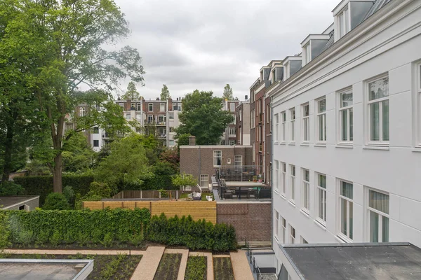 Jardines Con Vista Trasera Jardines Casas Residenciales Amsterdam — Foto de Stock