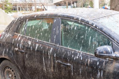 Hasarlı Aracın Altında Kuşlar Kaka Yapıyor