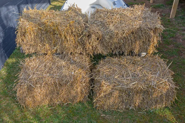 Ορθογώνιο Σχήμα Hay Bale Στη Γεωργική Γεωργία — Φωτογραφία Αρχείου