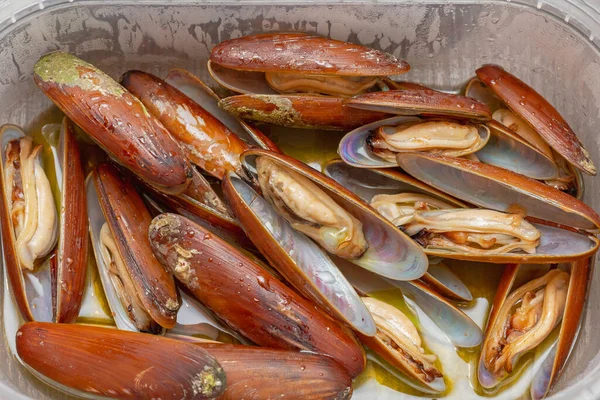 Lithophaga Date Shell Mussel Cooked Seafood Meal — Stock Photo, Image