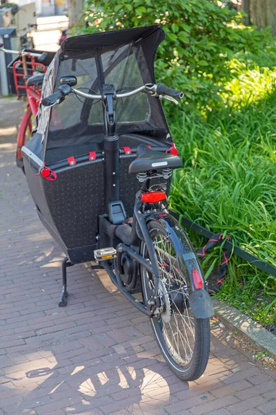 Vista Trasera Bicicleta Eléctrica Con Cabina Para Transporte Niños — Foto de Stock