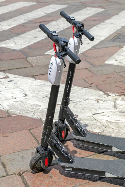 Milan Italy June 2019 Two Rental Scooters Bird Parked Street — Stock Photo, Image