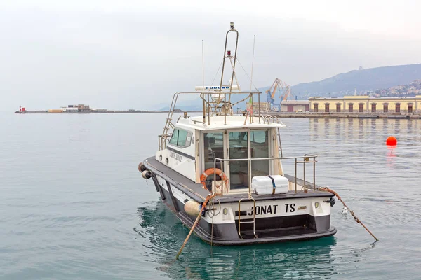 Trieste Italy Січня 2017 Launch Service Boat Порт Трієст Італія — стокове фото