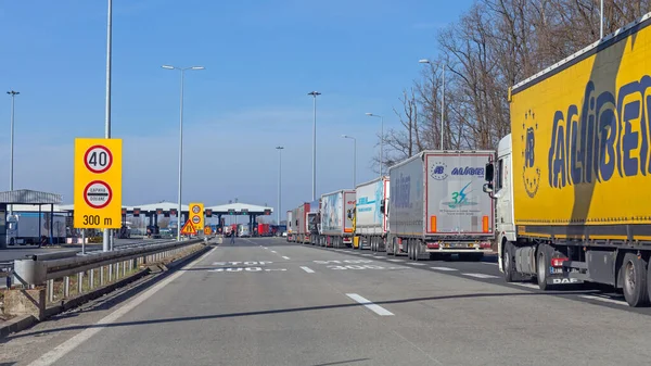 Batrovci Сербія Лютого 2017 Stucked Trucks European Border Crossing Batrovci — стокове фото