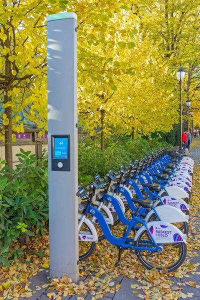 Oslo Norway October 2016 Column Display Bicycle Rental Station Telia — Stock Photo, Image