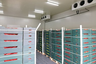 Depolama Deposundaki Paletlerde Ürün Sandıkları