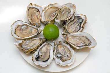 Tabakta taze istiridye servis ediliyor.