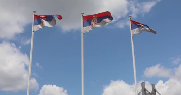 Drei Flaggen Polen Der Republik Serbien Bei Wind — Stockvideo