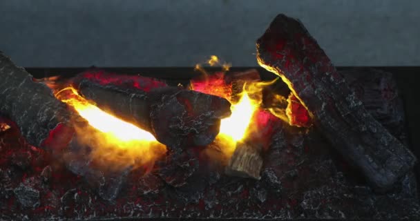 Efectos Incendio Humo Decoración Del Hogar Chimenea — Vídeo de stock