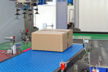 Fabrikadaki Modern Taşıyıcı Sistemi 'nde karton kutu