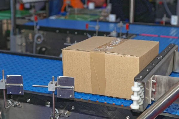 Cardboard Box Package at Conveyor System in Factory