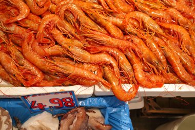 Balık pazarında koca bir demet taze karides.