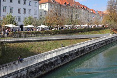 Ljubljana, Slovenya - 12 Ekim 2014: Slovenya 'nın Ljubljana kentindeki Ljubljanica Nehri kıyısındaki Antik Markette İnsanlar.