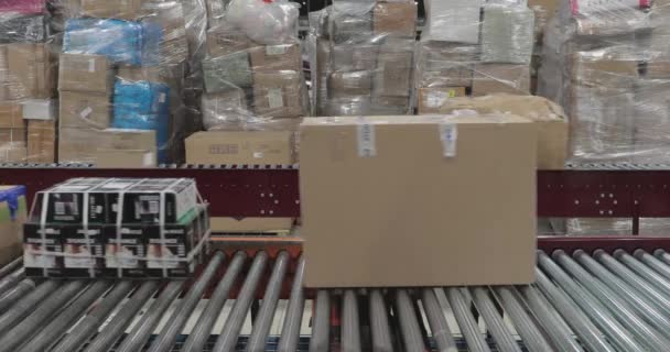 Cajas Envío Transportador Rápido Almacén Distribución Clasificación — Vídeos de Stock