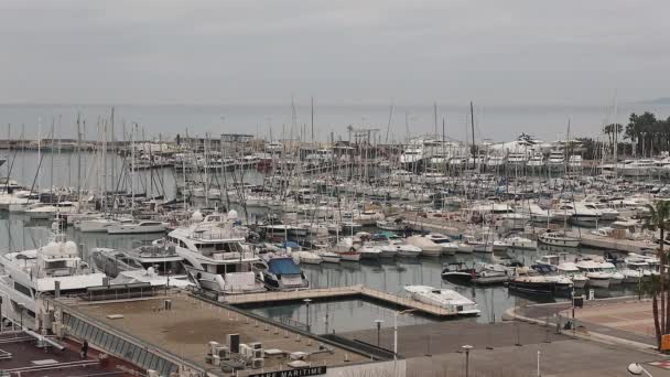 Iates Luxo Barcos Vela Atracados Marina Cannes França Inverno — Vídeo de Stock